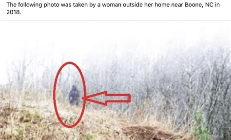 “The Man from Taured”—Solved : r/AstonishingLegends .